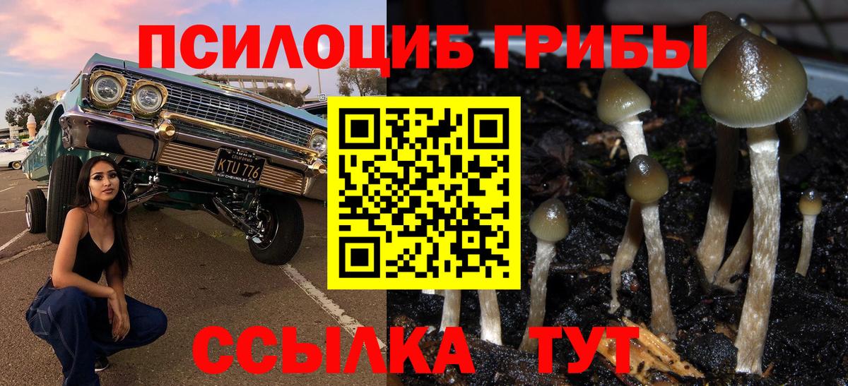 Псилоцибиновые грибы мухоморы Бахчисарай