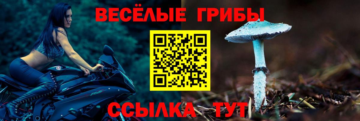 Бахчисарай  купить закладку  Вход с VPN  Галлюциногенные грибы GOLDEN TEACHER 